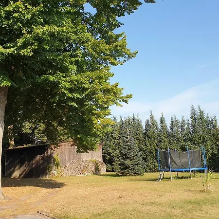 Daire Roland Vogelsang-Warsin